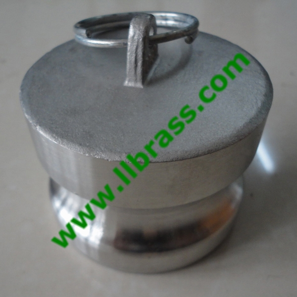 stainless steel type DP